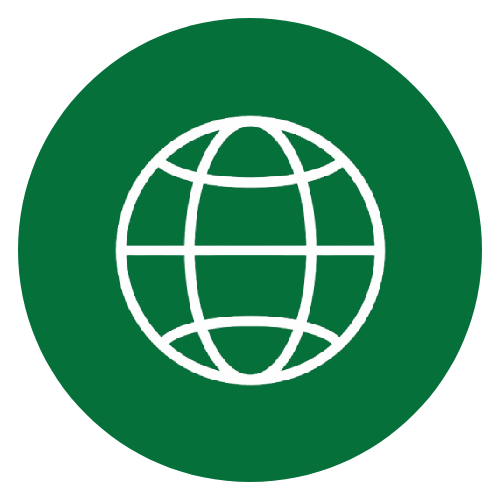 Global Icon
